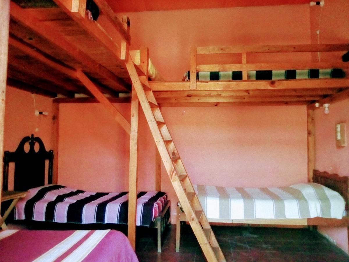 Hostal El Rincon De Los Camellos Сан-Кристобаль-де-Ла-Касас Экстерьер фото