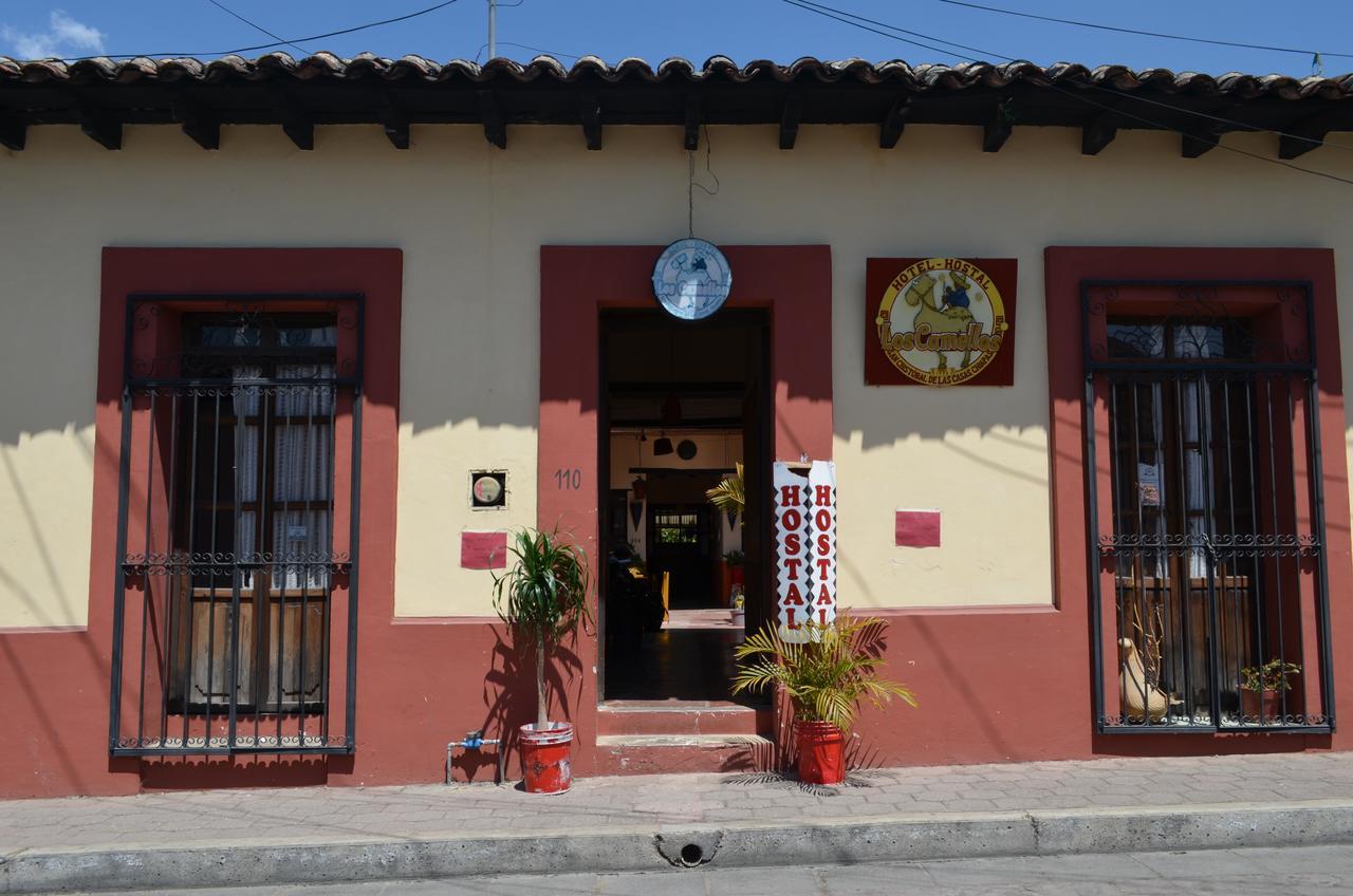 Hostal El Rincon De Los Camellos Сан-Кристобаль-де-Ла-Касас Экстерьер фото