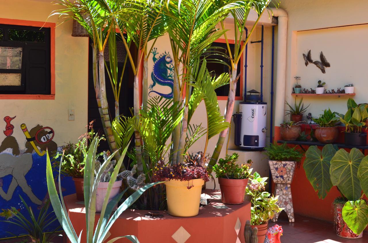 Hostal El Rincon De Los Camellos Сан-Кристобаль-де-Ла-Касас Экстерьер фото